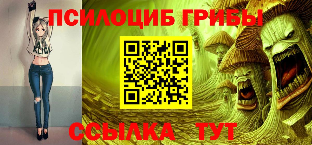 Чапаевск  купить закладку  Вход с VPN  Псилоцибиновые грибы мицелий 